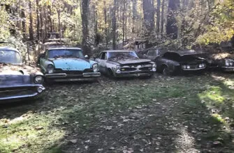 Кладбище домашних авто