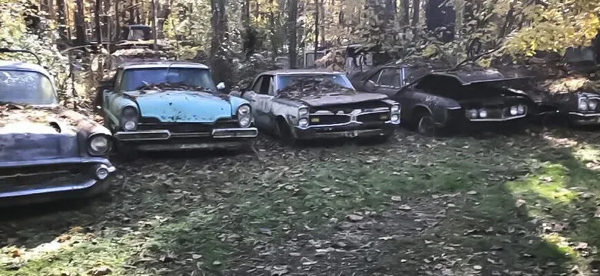 Кладбище домашних авто