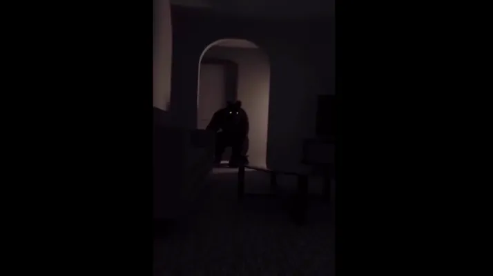 Беспокойная ночь