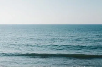 Короткие стихи о море: ТОП-5 стихотворений