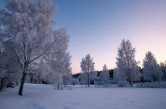 10 оригинальных коротких стихотворений о зиме