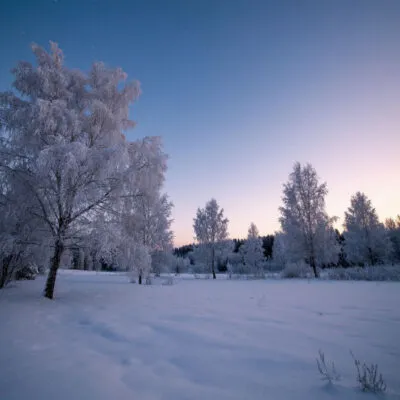 10 оригинальных коротких стихотворений о зиме