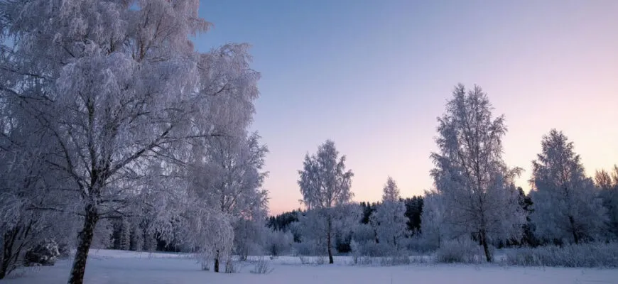 10 оригинальных коротких стихотворений о зиме