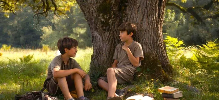 Миниатюра о мальчишеской дружбе и мечте