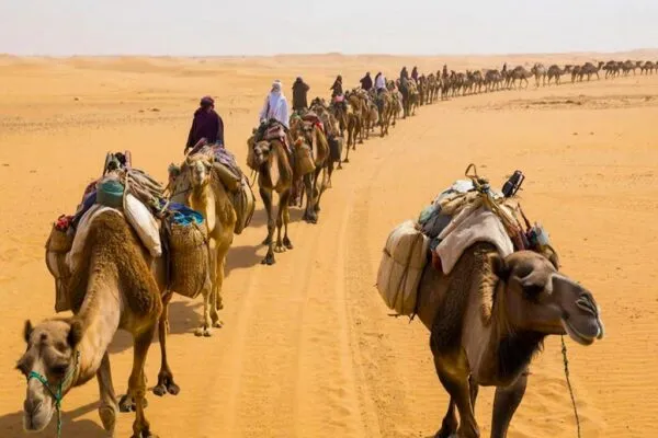 Следы на песке времени