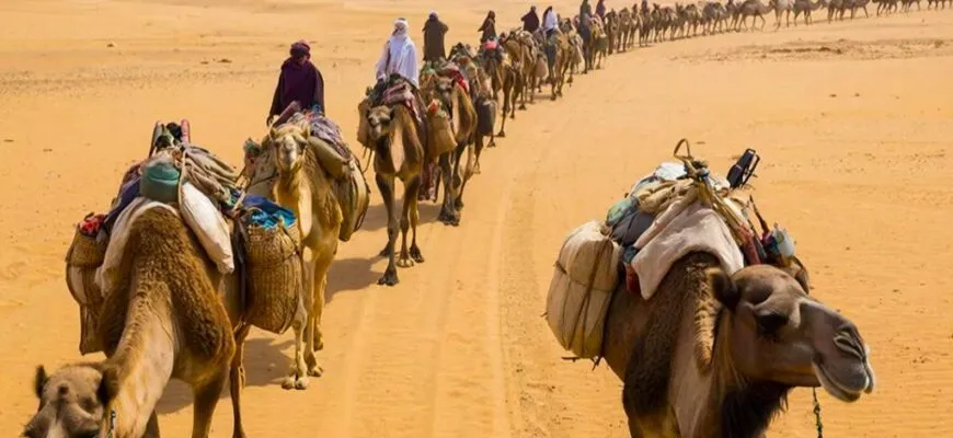 Следы на песке времени