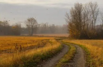 Нивы сжаты, рощи голы