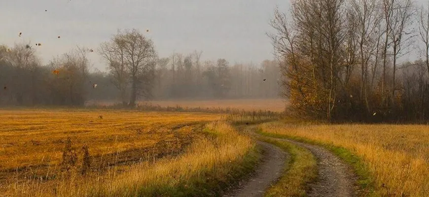Нивы сжаты, рощи голы