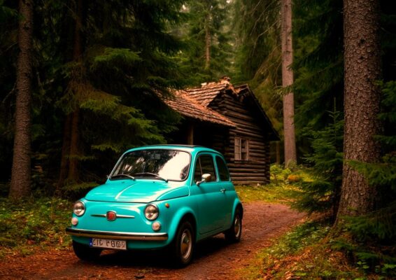 Погреб вместо Свадьбы