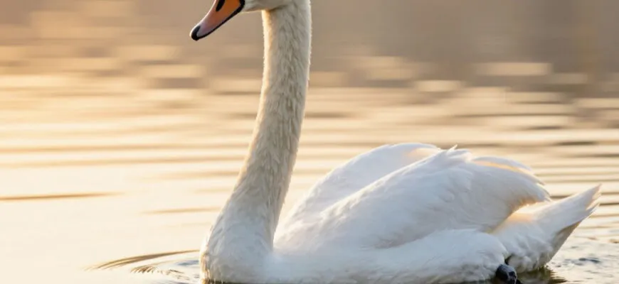 Читать сказку лебедь