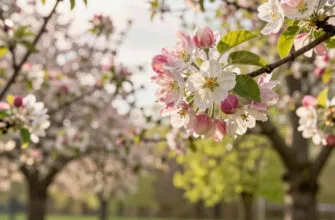 Стихи марта (короткие, по 4–6 строк)