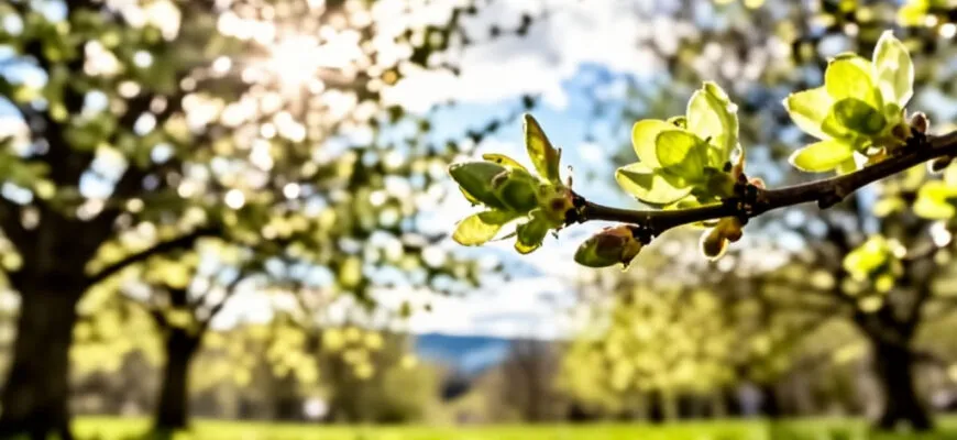 Стихи для 7 лет