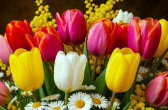 Короткие стихи на 8 марта