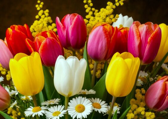 Короткие стихи на 8 марта