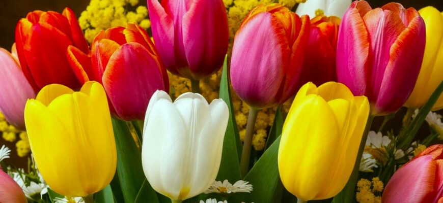 Короткие стихи на 8 марта