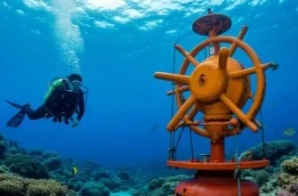 Криминальный детектив Исчезновение Тома и Айлин Лонерган Читать онлайн