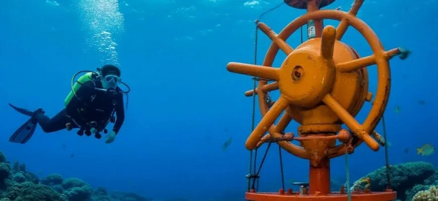 Криминальный детектив Исчезновение Тома и Айлин Лонерган Читать онлайн