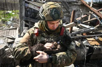 10 патриотических стихов про СВО