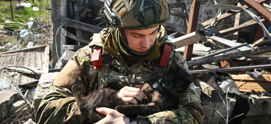 10 патриотических стихов про СВО