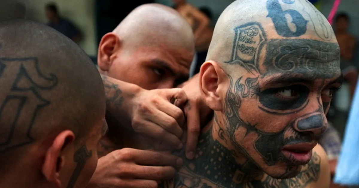 Банда Мара Сальватруча история, правила и влияние MS-13