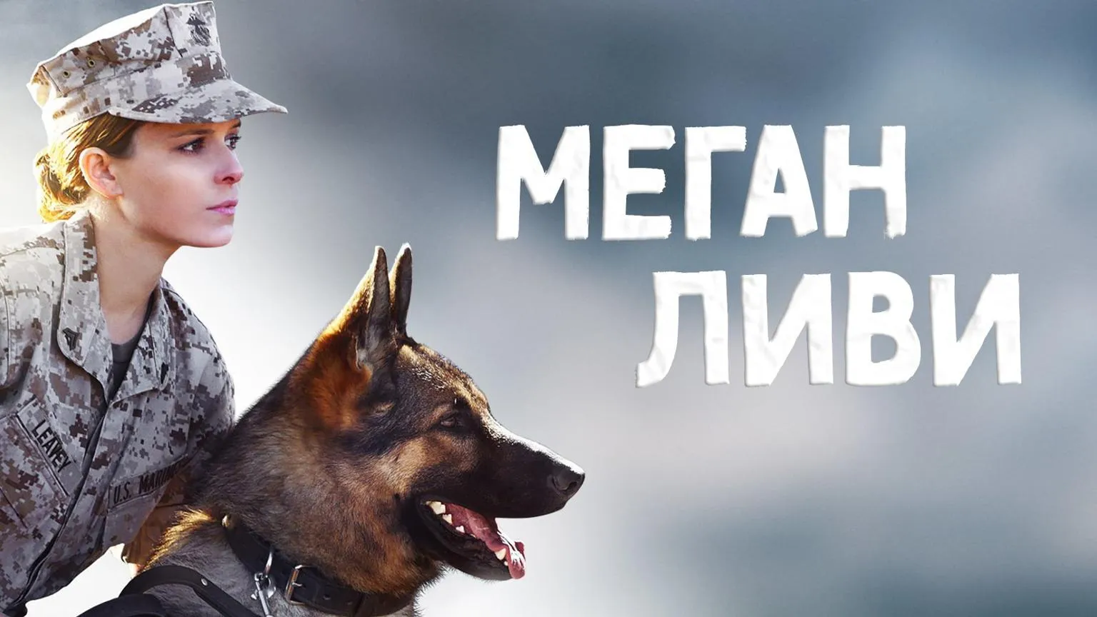 Меган Ливи реальная история героической женщины и собаки