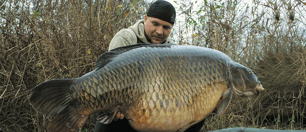 Поймали 45 килограммового карася удивительный рассказ с рыбалки
